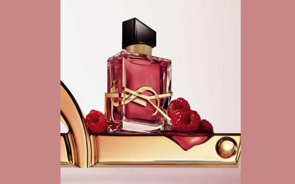 ysl8